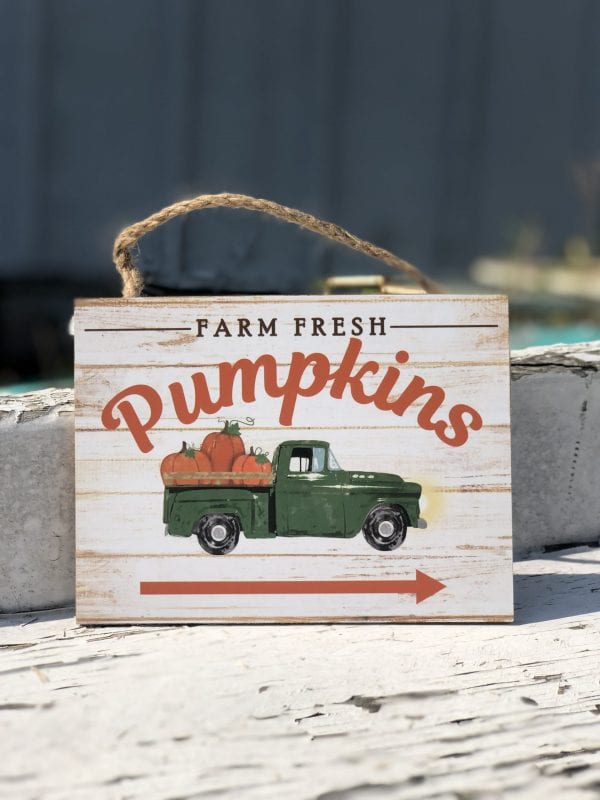 Farm Fresh Pumpkins - Small